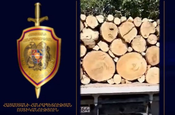 Ոստիկանության Վաղարշապատի բաժնի ծառայողներն ապօրինի ծառահատման դեպք են բացահայտել