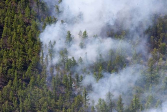 Ռուսական այրվող անտառների ծուխը հասել Է Մոնղոլիա