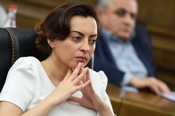 Դատավճիռը կայացվել է ենթադրությունների հիման վրա․ Լենա Նազարյանը հանդիպել տուժած քաղաքացու հետ