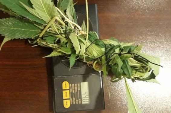 Ափիոն՝ սև պղպեղի տուփում. «Հրազդան» ՔԿՀ-ում հայտնաբերվել են արգելված իրեր և կասկածելի զանգվածներ