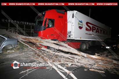 Երեւանում ծառ է տապալվել՝ վնասելով «Սպայկայի» բեռնատարը