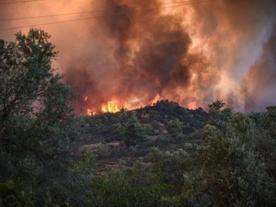 Աթենքի մերձակայքում տեղի է ունեցել ուժեղ անտառային հրդեհ