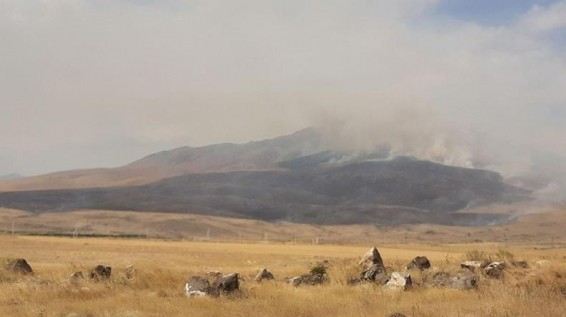 Այրվում են Արայի լեռան լանջերը