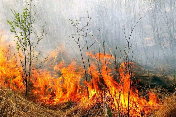 Գրանցվել է խոտածածկ տարածքներում բռնկված 76 հրդեհ