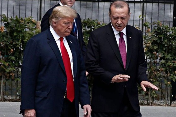 Эрдоган и Трамп обсудили ситуацию в Идлибе
