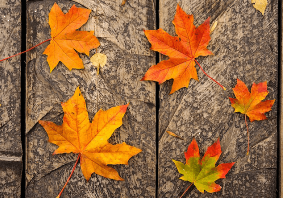 Օդի ջերմաստիճանը սեպտեմբերի 22-23-ն աստիճանաբար կնվազի