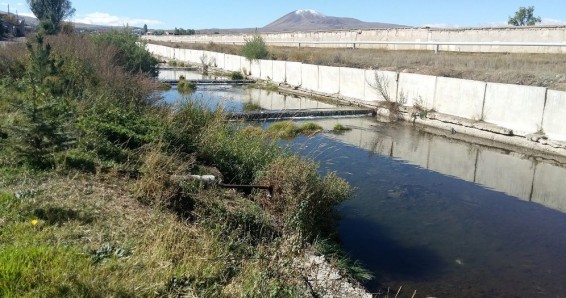 В Армении раскрыли сеть «водной мафии».