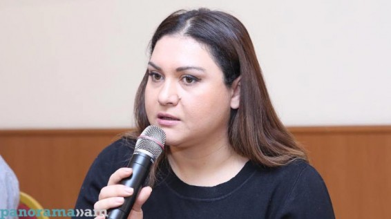 Էլիբեգովա. Եթե Սիրիայում Թուրքիայի մոտ ամեն ինչ հաջողվի, Ադրբեջանը փորձելու է իր ուժերն Արցախում
