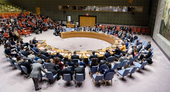 Армения в ООН выступила против антироссийского документа по Крыму
