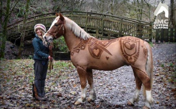 Photo. Բրիտանուհի վարսահարդարը նախշազարդում է ձիերին