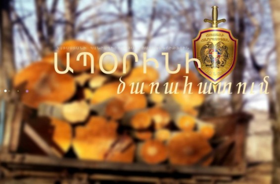 Լոռիում ապօրինի ծառահատման դեպքեր են բացահայտվել. հանգամանքները պարզվում են