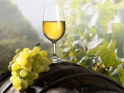 Հայաստանում առաջին անգամ արտադրվել է հավաստագրված օրգանական գինի. Խաղողագործության եւ գինեգործության հիմնադրամ