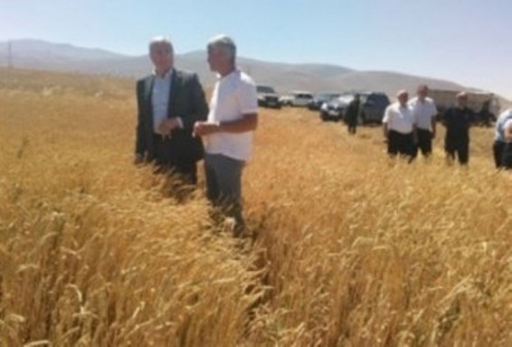 Գյուղնախարարը դիտարկումներ է անցկացրել Գեղարքունիքի մարզի Վարդենիսի տարածքի տնտեսություններում