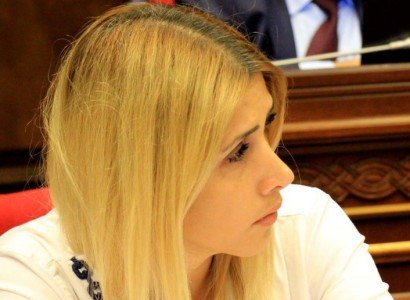 Տարվա ձեռքբերումները. Էլինար Վարդանյան