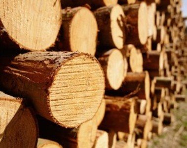 Գործադիրն առաջարկում է արգելել ՀՀ-ից փայտանյութի եւ դրանից պատրաստված որոշ ապրանքների արտահանումը ոչ ԵՏՄ երկրներ