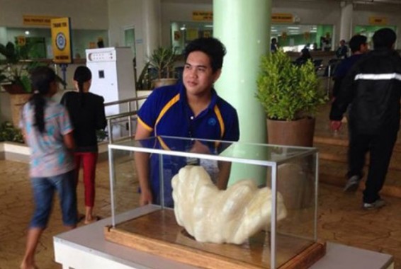 Ֆիլիպինցի ձկնորսը 10 տարի մահճակալի տակ 100 մլն դոլար արժողությամբ մարգարիտ էր պահում