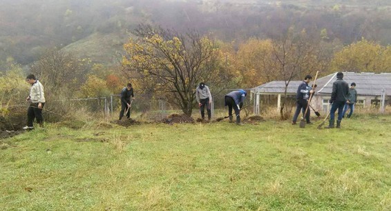 Заброшенные земли в Армении будут отдавать в аренду: у Пашиняна новый план