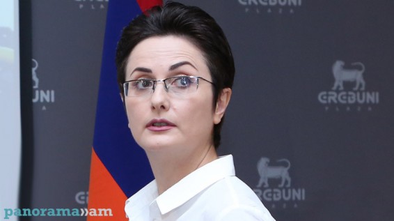 Лилит Туманян: Это не подобающее премьер-министру Армении поведение