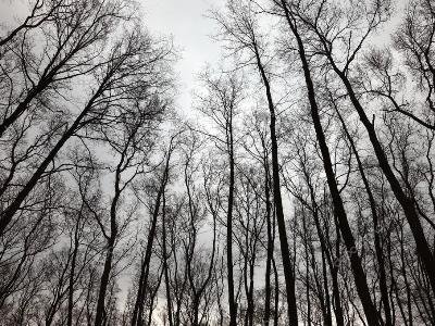 Եղանակը Հայաստանում
