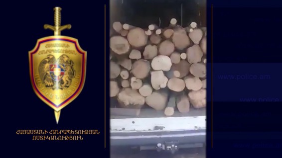 24-ամյա գորիսեցու «Ֆորդ Տրանզիտը» բեռնված է եղել փայտանյութով. Երիտասարդը փաստաթուղթ չի ունեցել