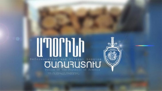 Հայտնաբերվել է շուրջ 10 խմ ապօրինի փայտանյութ