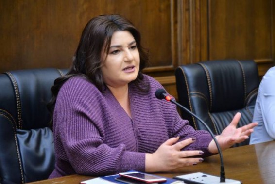 Депутат от ППА пока не видит содержательных акцентов в агитационной кампании референдума