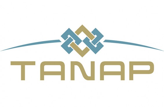 «Ներկայում Ադրբեջանը դիտարկում է Եվրոպա իրանական գազի տարանցման հնարավորությունը TANAP-ի միջոցով». ադրբեջանցի փոխնախարար