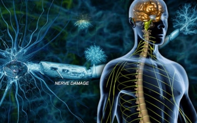 Նյարդակենսաբանները մեծ առաջընթաց են գրանցել ցրված սկլերոզի բուժման գործում