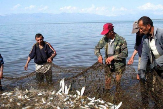 Ձկնորսությունը Սևանա լճում՝ խիստ հսկողության տակ. նախարարությունը ներկայացրել է նոր նախագիծ