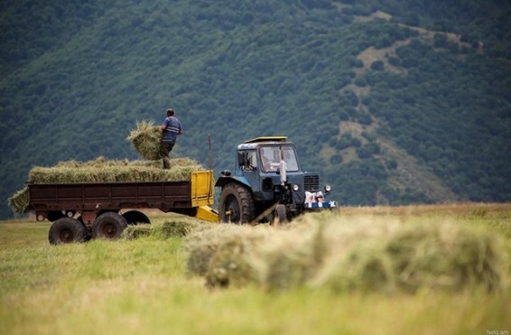 Վերջին 20 օրվա ընթացքում 2 անգամ ավելի շատ գյուղատնտեսական վարկ է տրվել, քան 2020թ. առաջին եռամսյակում. Էկոնոմիկայի նախարարի տեղակալ