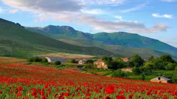 Օրգանական գյուղատնտեսության սերտիֆիկացման աջակցության մրցույթ