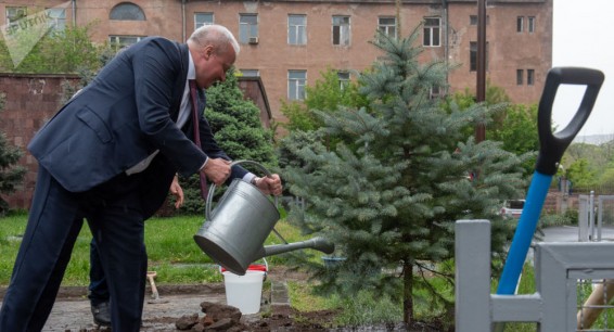 Будет хорошо расти в память о войне: в посольстве России в Армении посадили ель к 9 мая