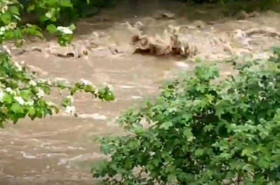 Աղստև գետի վարարումն աննախադեպ է 1998 թ.-ից սկսած. Տավուշի մարզպետարանը պարզաբանում է