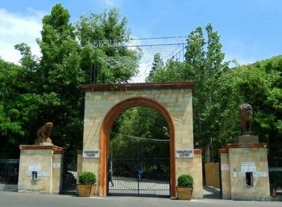 Այս տարի այս օրը մի քիչ տխուր է. Երևանի կենդանաբանական այգին շնորհավորում է երեխաներին