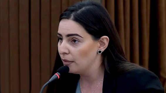 Թեհմինա Վարդանյան. Տղերք, բա ու՞ր եք․․․