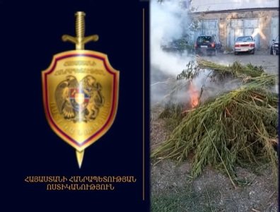 Օգոստոսի 15-ից 17-ը հայտնաբերվել եւ ոչնչացվել է 2 տոննա 833 կիլոգրամ կանեփի վայրի աճած զանգված. Ոստիկանություն