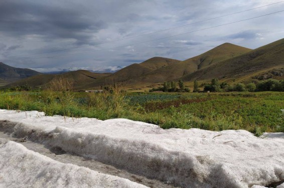 Լոռու մարզի Ջրաշեն գյուղում լուսադեմին կարկուտ է տեղացել. Գագիկ Սուրենյան