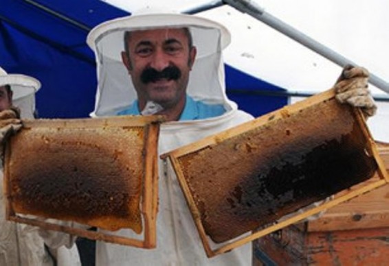 Թուրք քաղաքապետը խոստացել է երկրի ողջ տարածքում «կոմունիստական մեղր» վաճառել