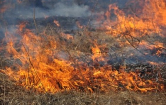 Հրդեհներ խոտածածկ տարածքներում