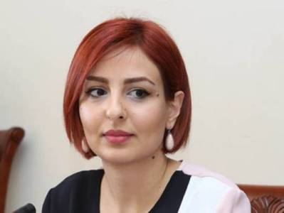 ՀԴՄ քանակ հաշվելիս ուսումնասիրեք նաեւ «նիսյա»-երի ցուցակները. Անի Սամսոնյանը՝ վարչապետին