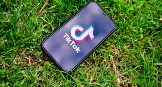 Офис блокированного в Армении приложения TikTok связался с омбудсменом Татояном
