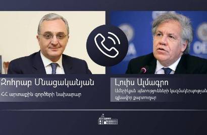 Глава МИД Армении поблагодарил генсека ОАГ за последовательную позицию в вопросе Карабаха