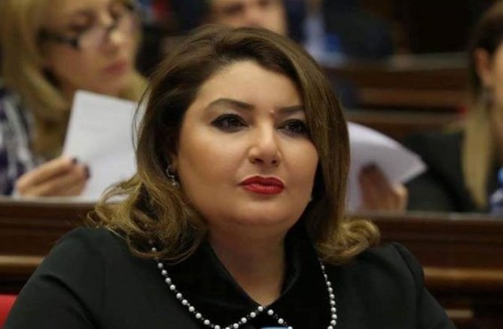 «Կան հարցեր, որոնց պատասխանը մենք ակնկալում ենք ստանալ երկրի վարչապետից». Իվետա Տոնոյան.168.am