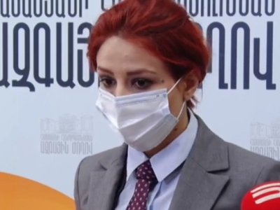 Ինչու են ընդդիմադիր խմբակցություններն ուզում հրատապ հանդիպել Փաշինյանի հետ. Անի Սամսոնյանի պարզաբանումը