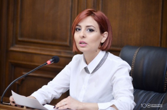 Հարգելի՛ իշխանություն, դադարեցրե՛ք այս տեղեկատվական սադիզմը. Անի Սամսոնյան