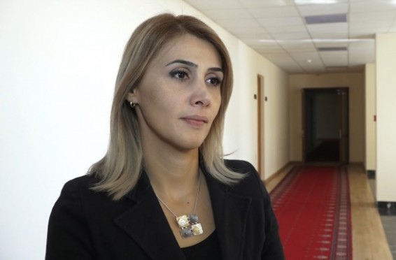 Ռազմական դրությունը պետք է վերացվի. Էլինար Վարդանյան