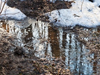 Суренян: Понижение температуры в ближайшие четыре дня не прогнозируется
