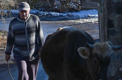Армянский депутат предлагает вооружить жителей приграничных районов