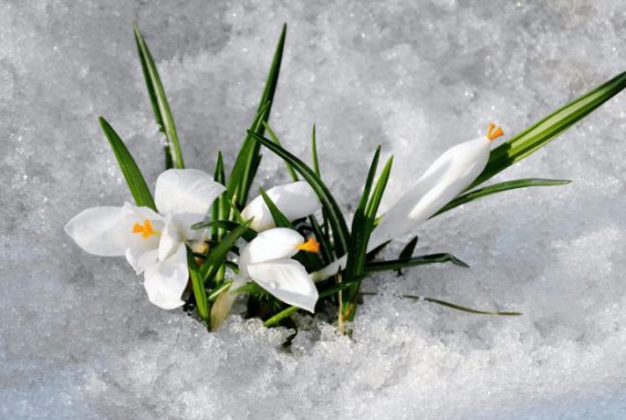 Օդի ջերմաստիճանը  կբարձրանա