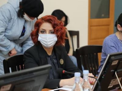 Գյուղացի Համբոյի տունը կռիվ է ընկել. Իշխանությունը վախեր է ցուցադրում. Անի Սամսոնյան